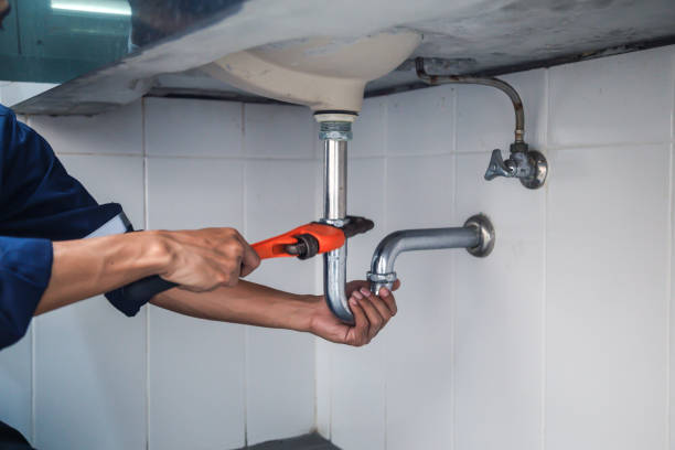Professional Plumbing in Skyline, AL