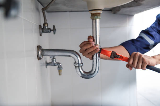 Best Sewer Line Repair  in Skyline, AL
