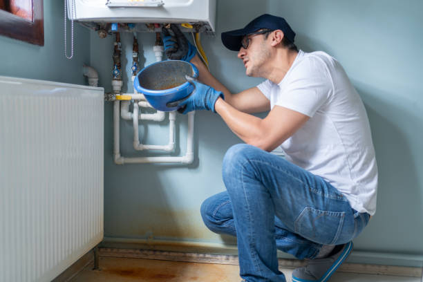 Best Plumbing Inspection Services  in Skyline, AL