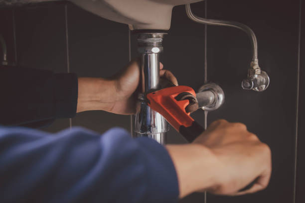 Best Septic Systems  in Skyline, AL